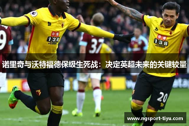 诺里奇与沃特福德保级生死战：决定英超未来的关键较量