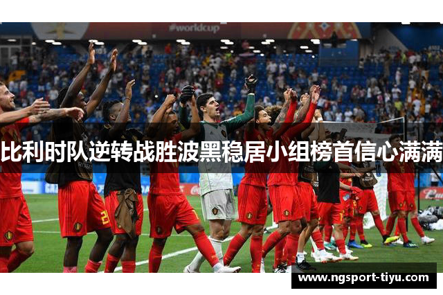比利时队逆转战胜波黑稳居小组榜首信心满满