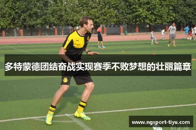 多特蒙德团结奋战实现赛季不败梦想的壮丽篇章