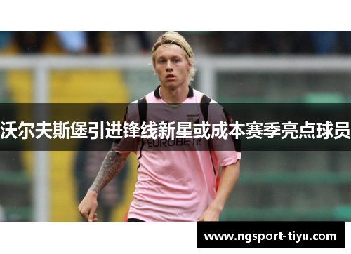 沃尔夫斯堡引进锋线新星或成本赛季亮点球员