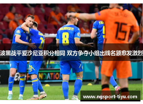 波黑战平爱沙尼亚积分相同 双方争夺小组出线名额愈发激烈