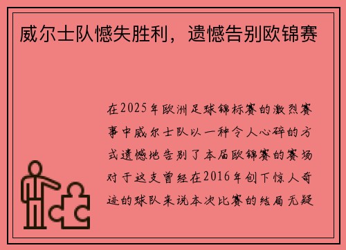 威尔士队憾失胜利，遗憾告别欧锦赛
