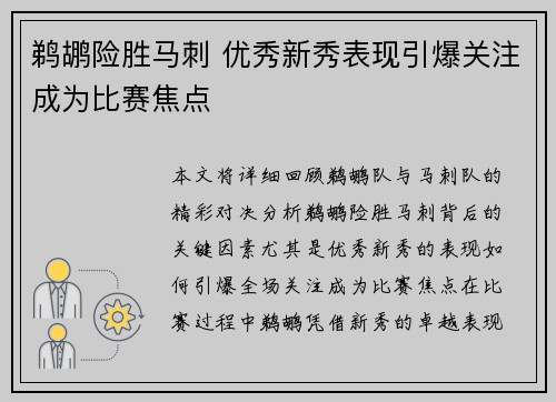 鹈鹕险胜马刺 优秀新秀表现引爆关注成为比赛焦点